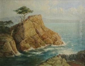 The Lone Cypress