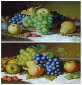 Still Life Studies Of Mixed Fruit