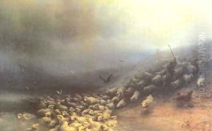 Flock of sheep at gale