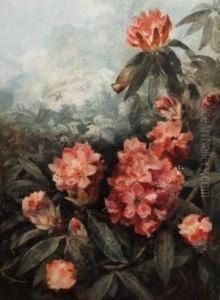 Study Of Rhododendrons by Eloise Harriet Stannard