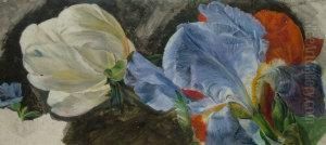 Botanical Study Botanical Study