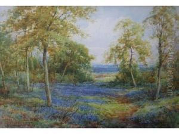 A Bluebell Wood - view 1