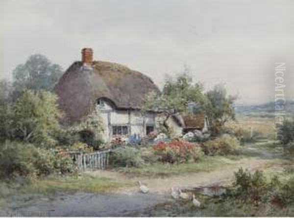 A Cottage Garden - view 1