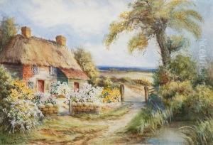 Thatched Cottages By A Lane