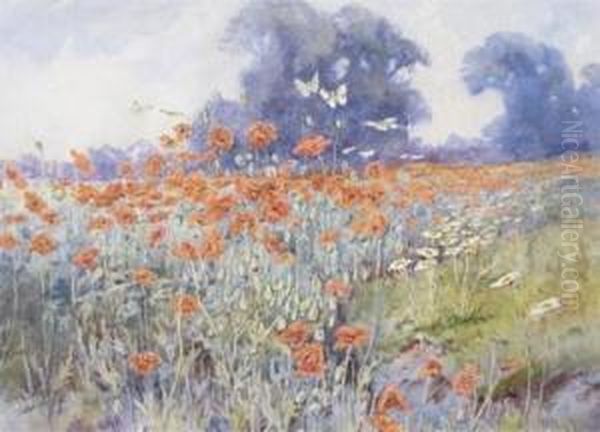 Poppy Field Withbutterflies - view 1