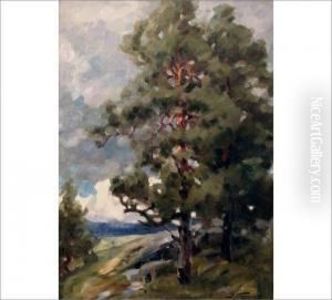 Tree by Mikael Stanowsky