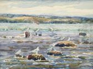 A View Of Seagulls From The Shoreline