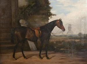 Portrait Of A Horse In A Landscape Portrait Of A Horse In A Landscape