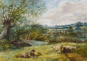 The Shepherd Boy by Arthur J. Stark