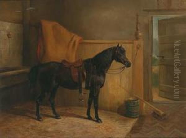 A Saddled Black Horse In The Stable - view 1
