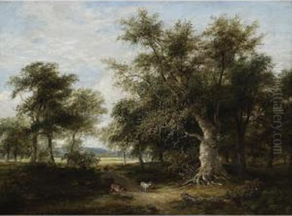 Stags In A Woodland Landscape - view 1