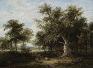 Stags In A Woodland Landscape
