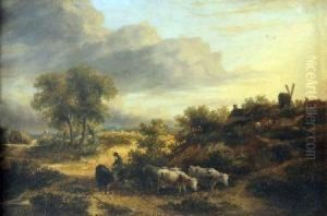 Landscape In Norfolk