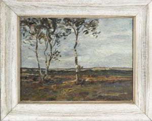 Birch Trees In A Landscape