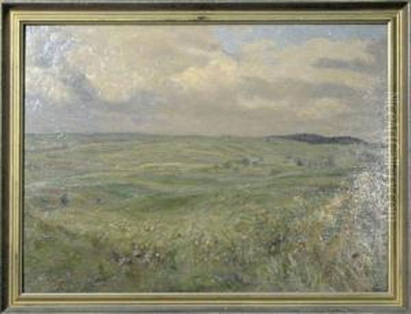 Schwabische Landschaft - view 1