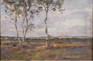 Paysage Paysage