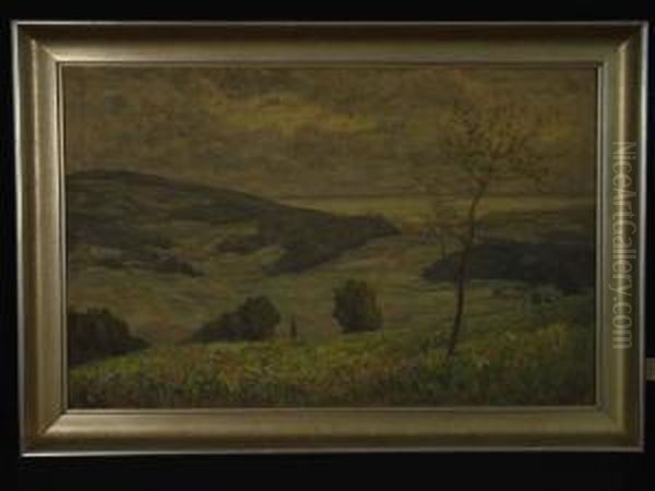 Bodenseelandschaft - view 1