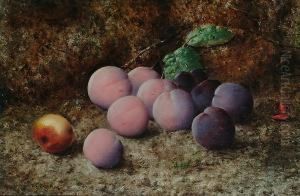 Still Life Of Plums On A Mossy Bank Still Life Of Plums On A Mossy Bank
