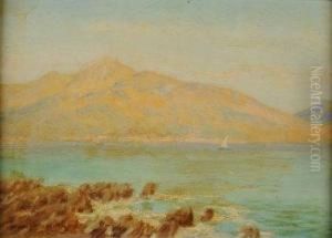 Lakeland Scene With Two Sailing Boats