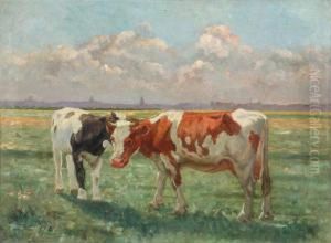 Heifers In The Meadow Heifers In The Meadow
