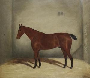 A Bay Horse In A Stable by S.G. Stearn