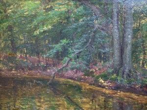 Woodland River Scene