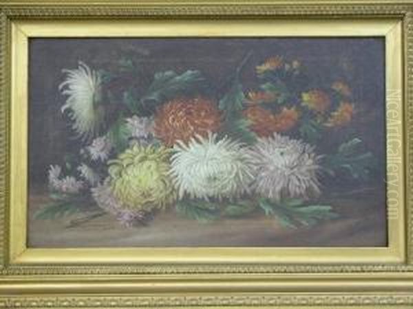 Still Life Studies Of Flowers - view 1