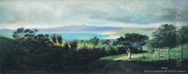 Hauraki Gulf - view 1
