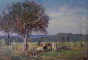 "resting Cattle" "resting Cattle"