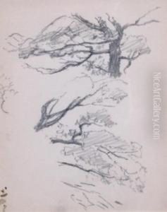 Studies Of Trees by Theodore Clement Steele