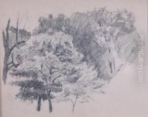 Trees - view 1