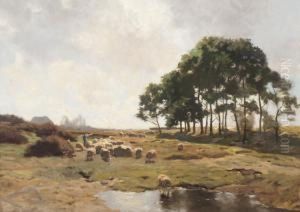 Shepherd Shepherd