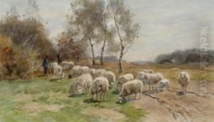 Shepherd With Sheep by Willem II Steelink
