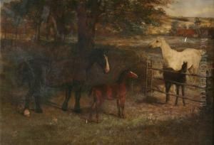 Weide Met Paarden En Veulens by David George Steell