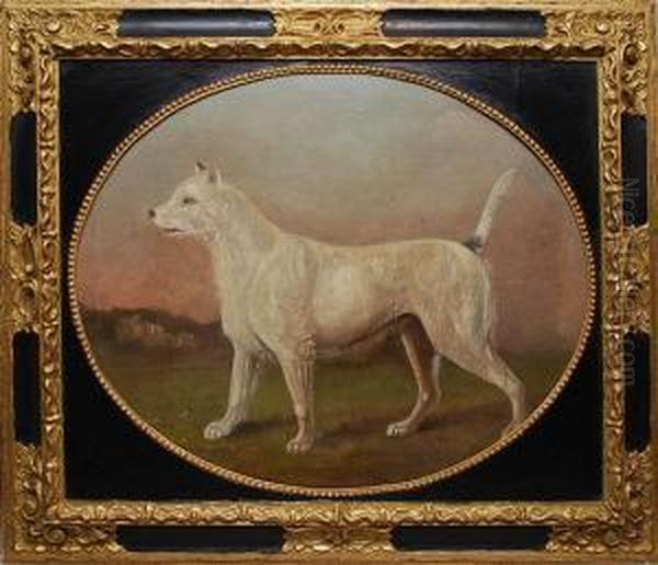 Dog Portrait - view 1