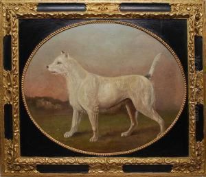 Dog Portrait by Gourlay Steell