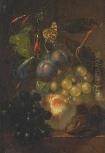 A Still Life With Grapes, A Peach, Plums And Walnuts On A Ledge With A Butterfly Above by Albertus Steenbergen