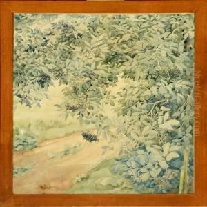 Elderberry Bush by Victor Steensgaard