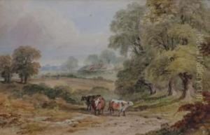 Rural Landscape With Cattle Rural Landscape With Cattle