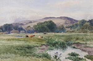 In The Meadows, Carisbrooke by John Steeple