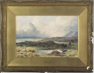 On The Welsh Coast by John Steeple