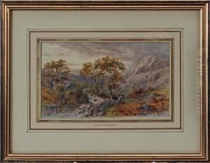 Returning To The Fold In The Lledrvalley by John Steeple