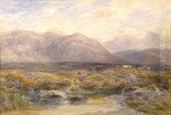 Among The Braes, O'balquhidder - view 1