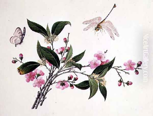 Cherry Blossom, Dragonfly and Butterfly - view 1