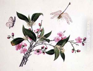 Cherry Blossom, Dragonfly and Butterfly by Anonymous Artist