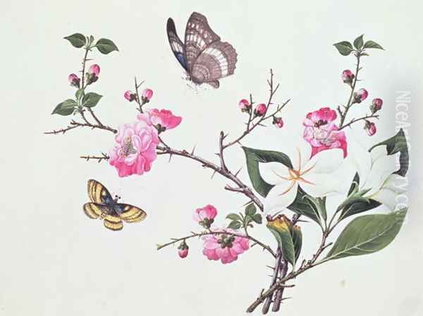 Japonica, Magnolia and Butterflies - view 1