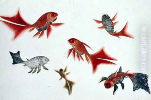 Gold and Silver Fish, from 'Drawings of Fishes from Malacca', c.1805-18 by Anonymous Artist