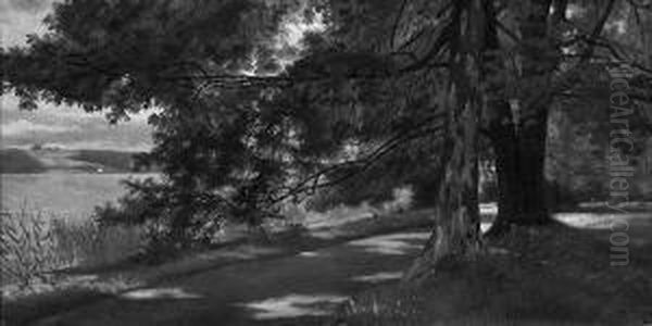 "partie Am Starnberger See". Rucks. Nachlassbestatigung. Ol Auf Lwd. Auf Karton. 23 X 46,5 Cm. Rahmen - view 1
