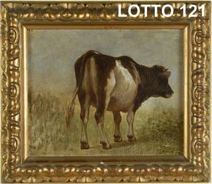 Mucca by Luigi Steffani
