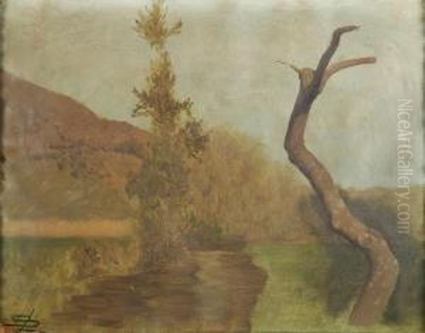 Albero Spoglio - view 1
